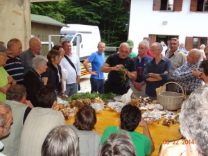 22 giugno 2014 Escursione Sella Valsugana: lezione sui funghi raccolti