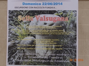 22 giugno 2014 Programma escursione Sella Valsugana