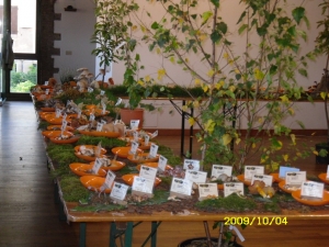 2009 Mostra autunnale Bassano Sala Apt