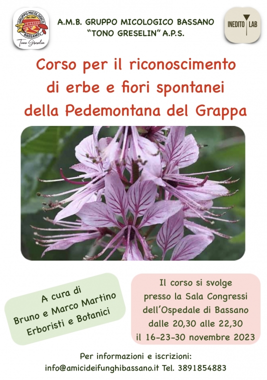 Corso introduttivo al riconoscimento di erbe e fiori della Pedemontana del Grappa