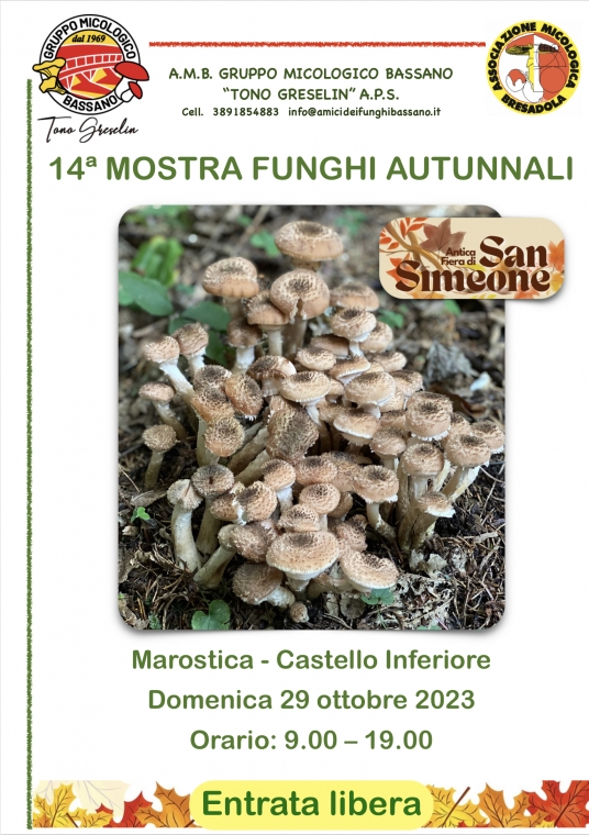 Mostra dei Funghi Marostica