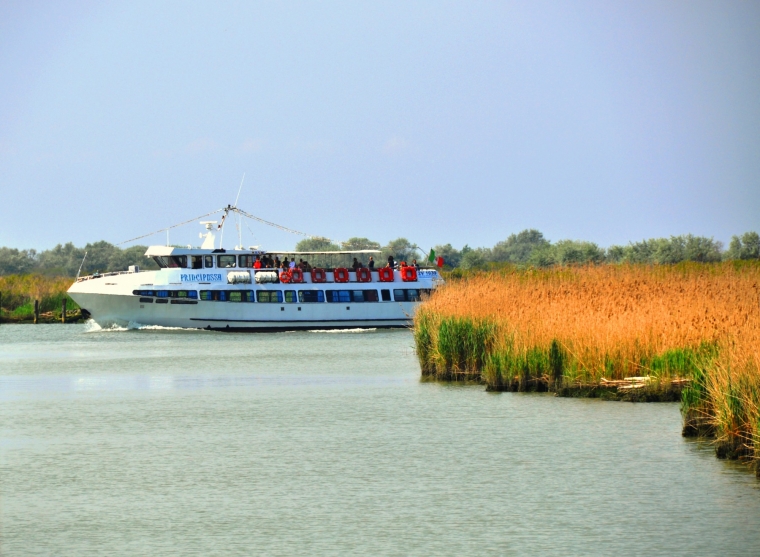 Escursione naturalistica con motonave nel Delta del Po